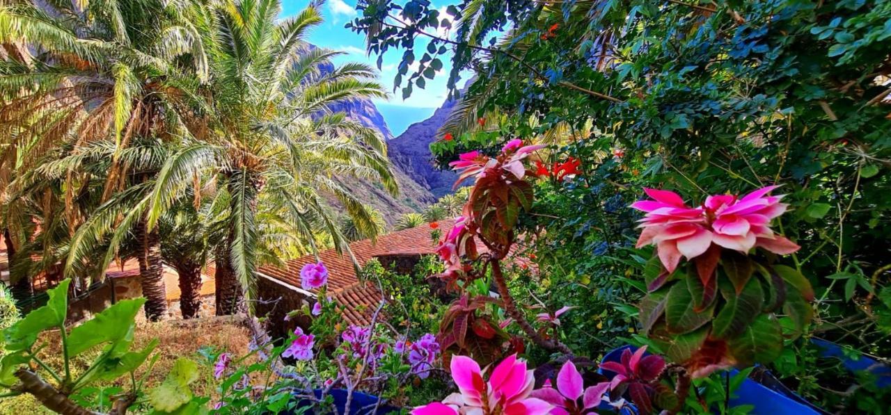 Paradise Tenerife San Miguel de Abona Eksteriør bilde
